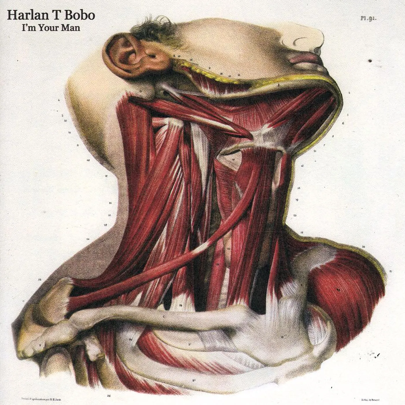 Harlan T. Bobo I'M YOUR MAN CD