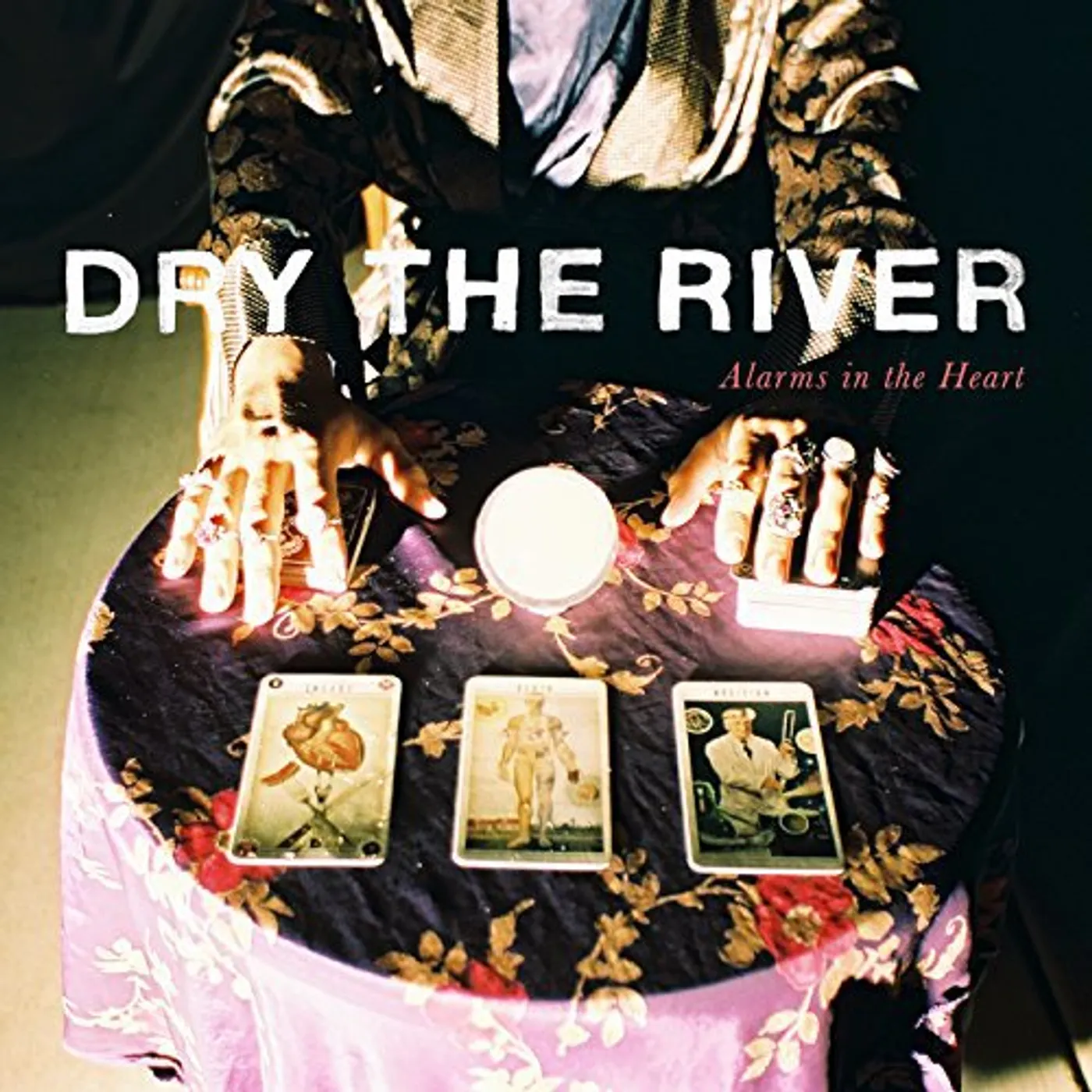 Dry the River Alarms In The Heart Vinyl Record