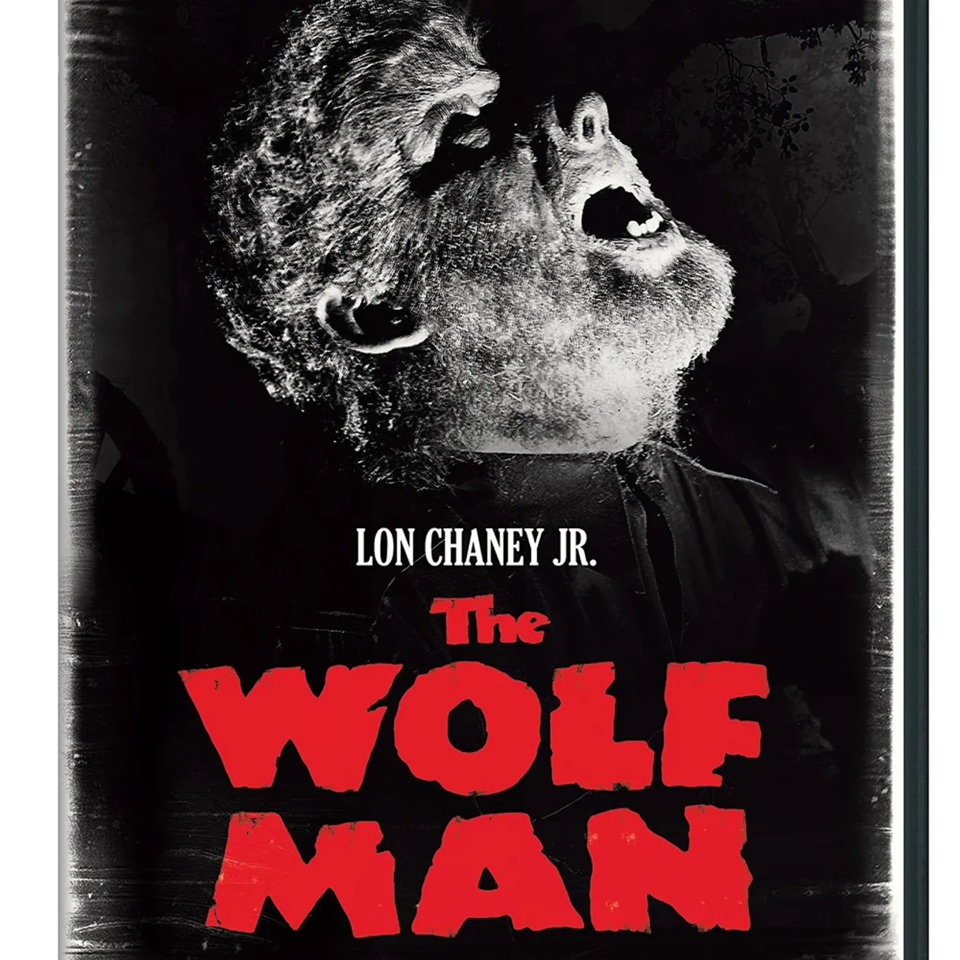 WOLF MAN DVD