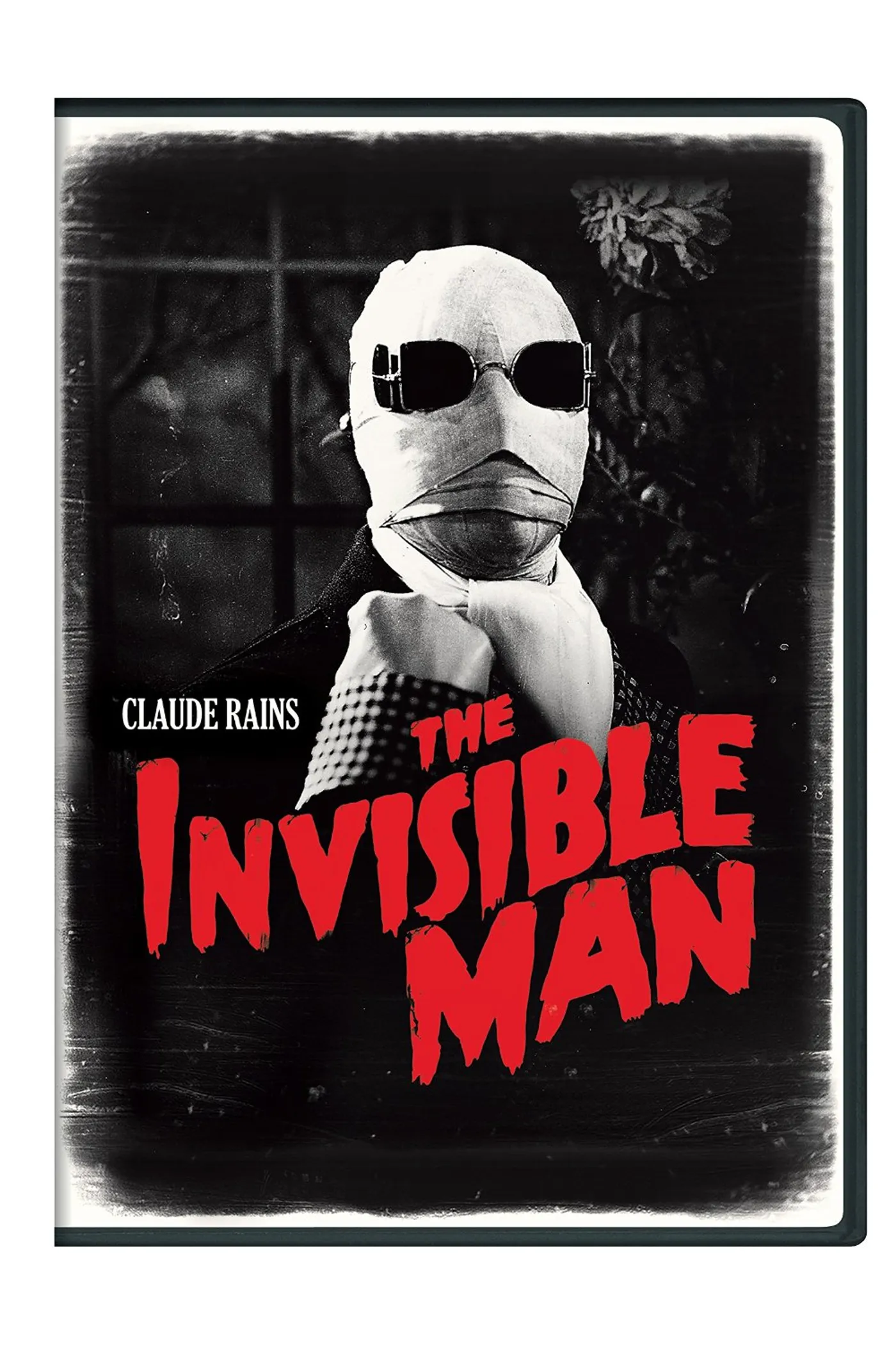 Invisible Man