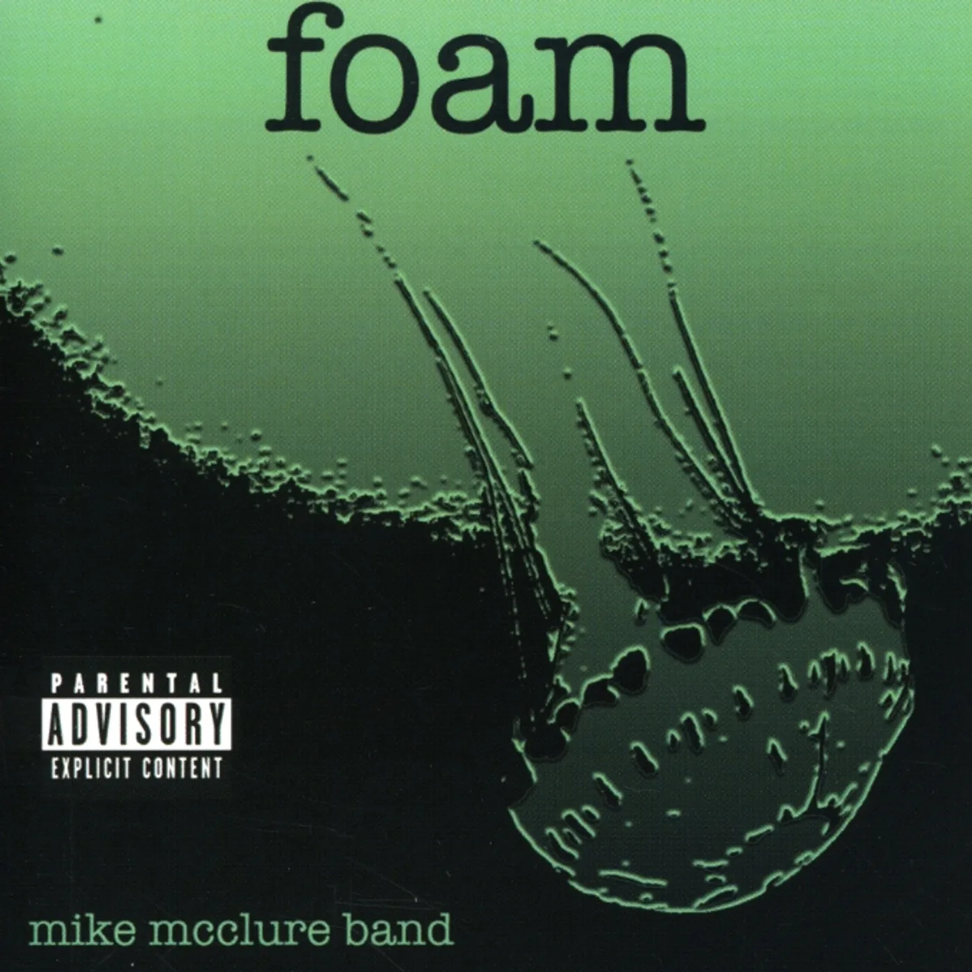 Mike McClure Band FOAM CD