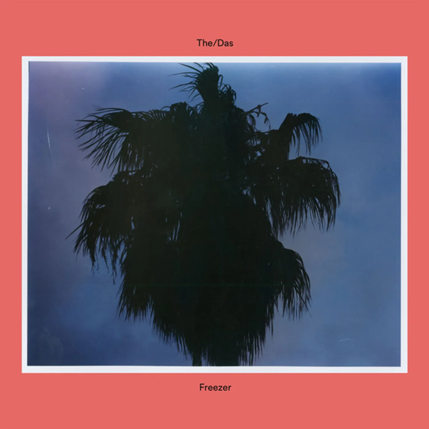 The/Das Freezer Vinyl Record