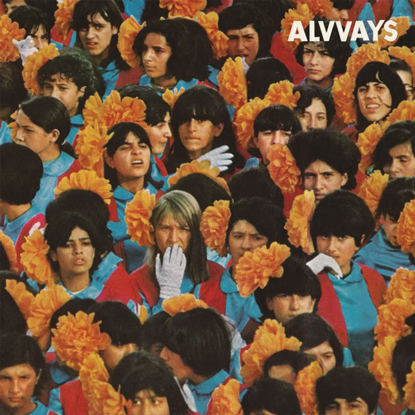 Alvvays Vinyl Record
