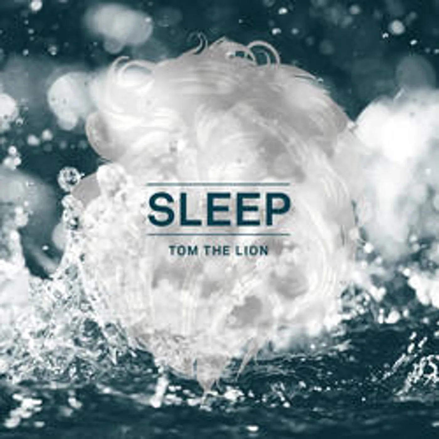 Tom The Lion Sleep Vinyl Record