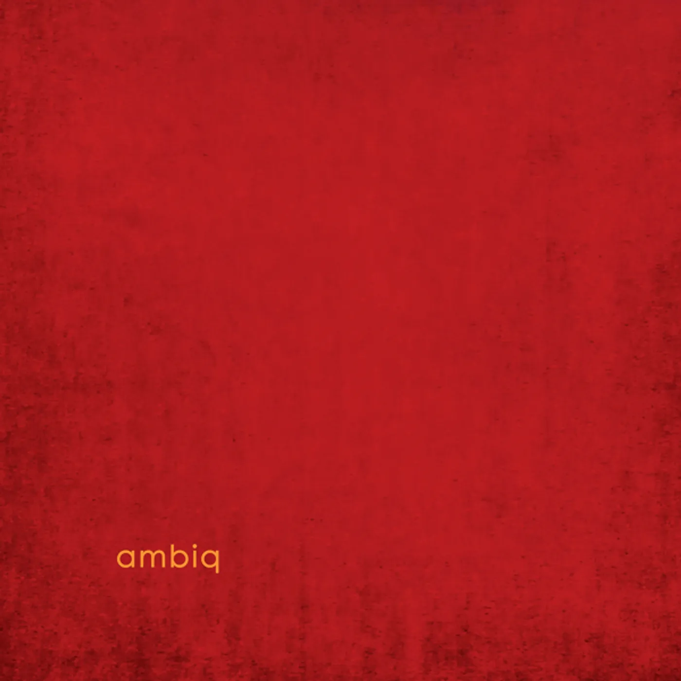 Max Claudio Puntin Loderbauer & Samuel Rohrer AMBIQ (UK) (Vinyl)