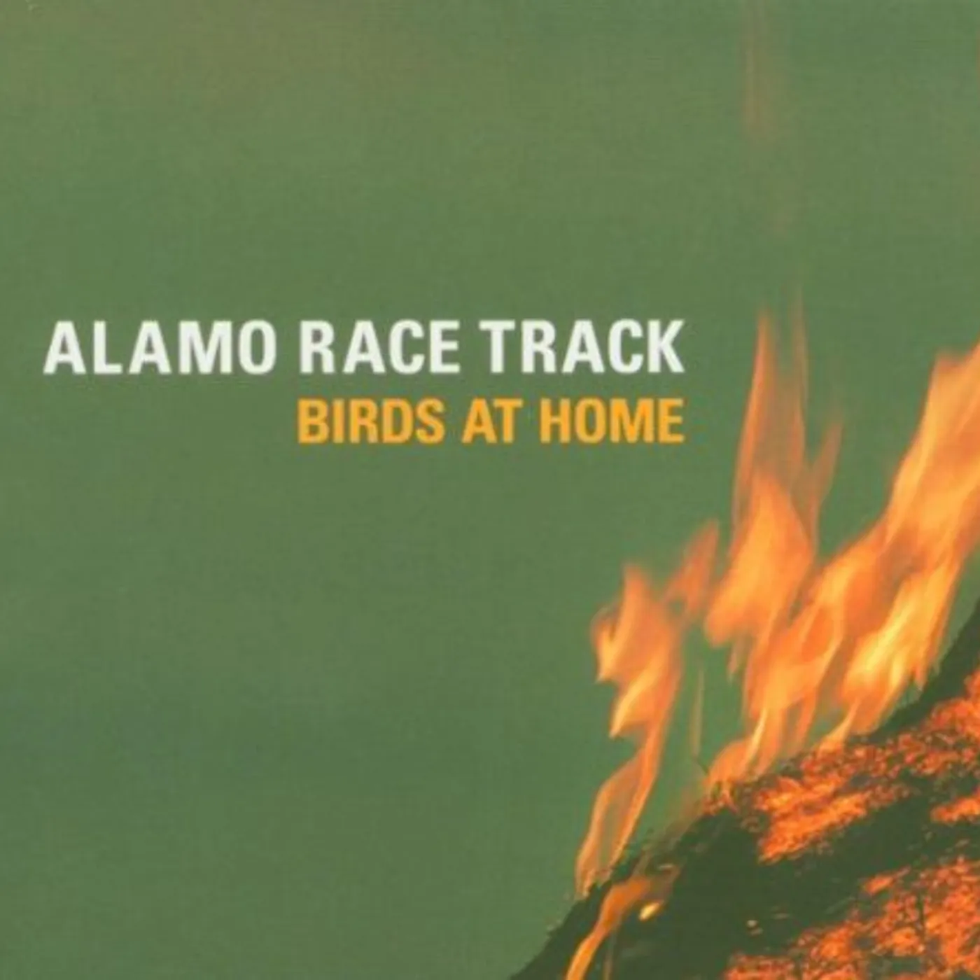 Alamo Race Track BIRDS AT HOME CD
