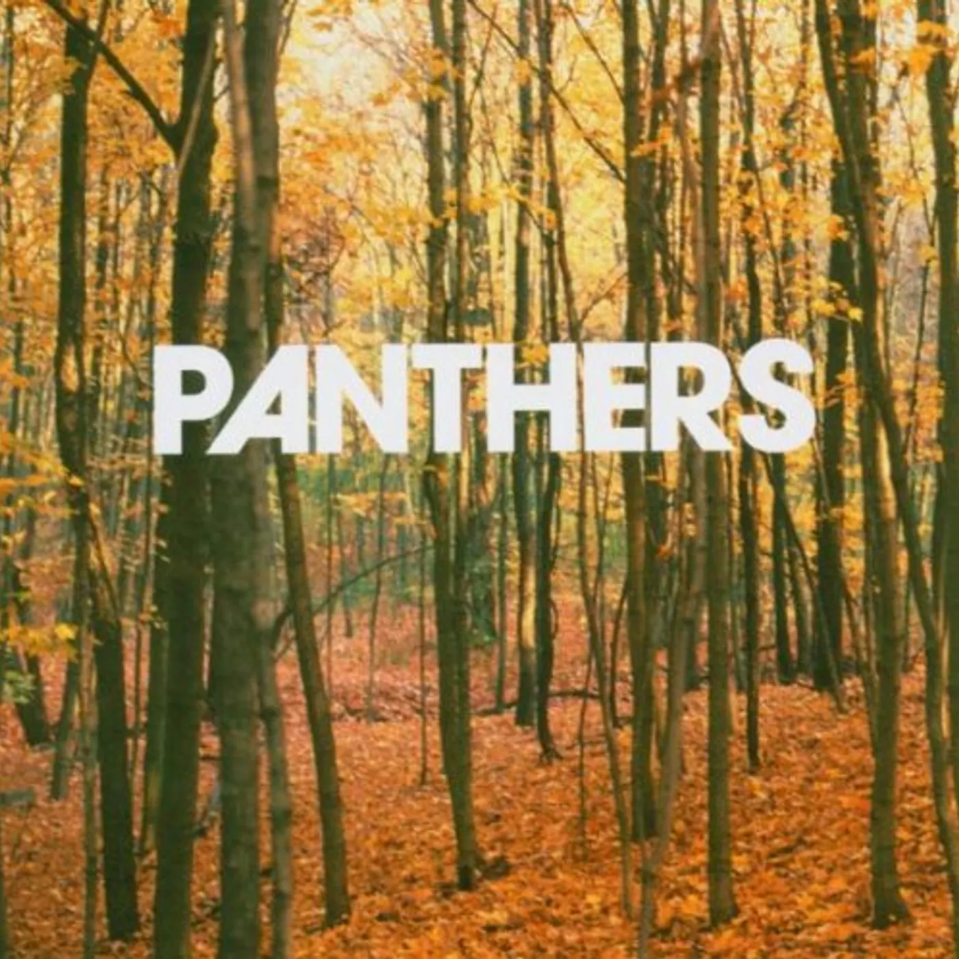 Panthers THINGS ARE STRANGE CD