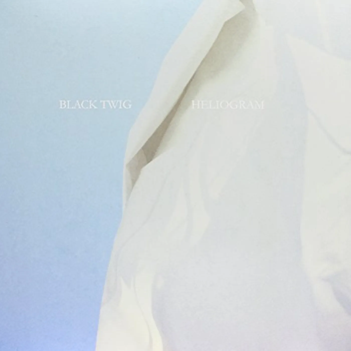 Black Twig Heliogram Vinyl Record