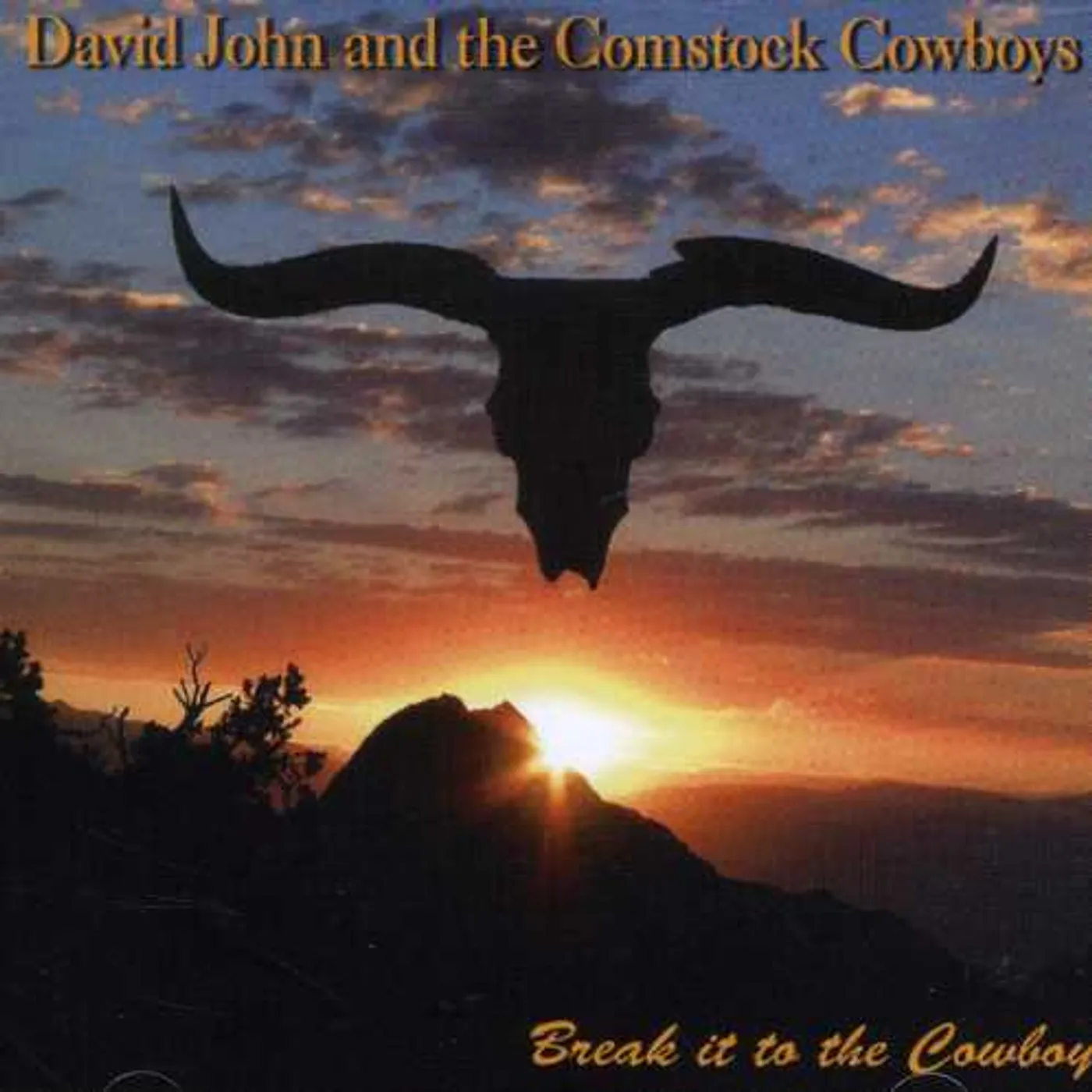 John David BREAK IT TO THE COWBOY CD