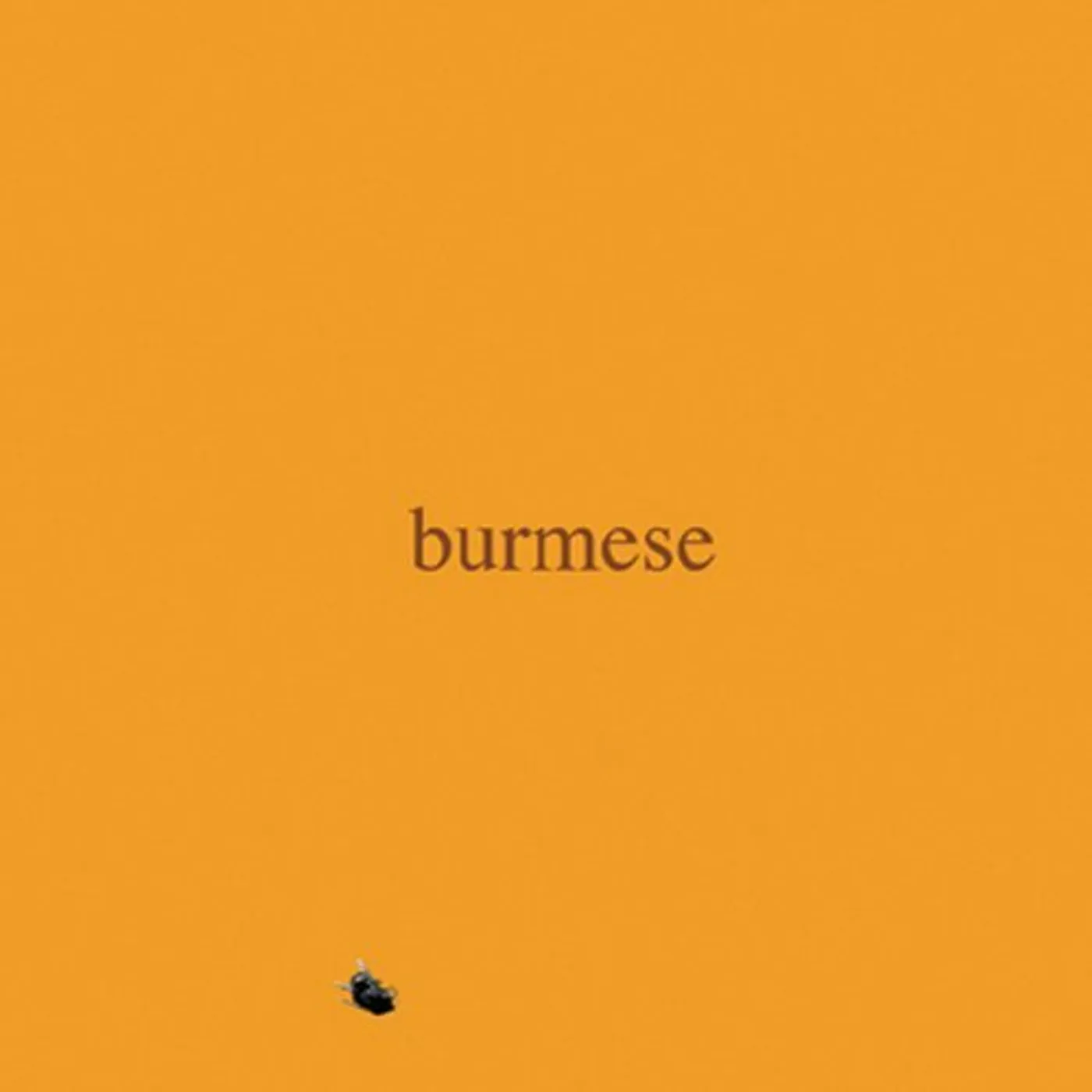 Burmese COLONY COLLAPSE DISORDER CD