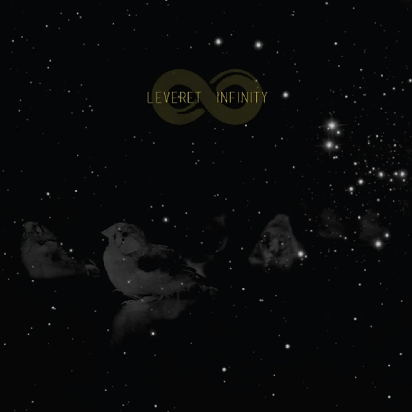 Leveret INFINITY CD