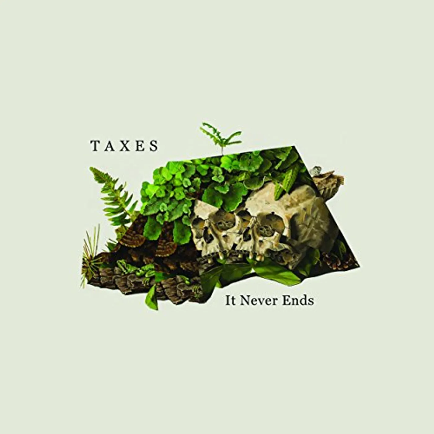 Taxes IT NEVER ENDS CD