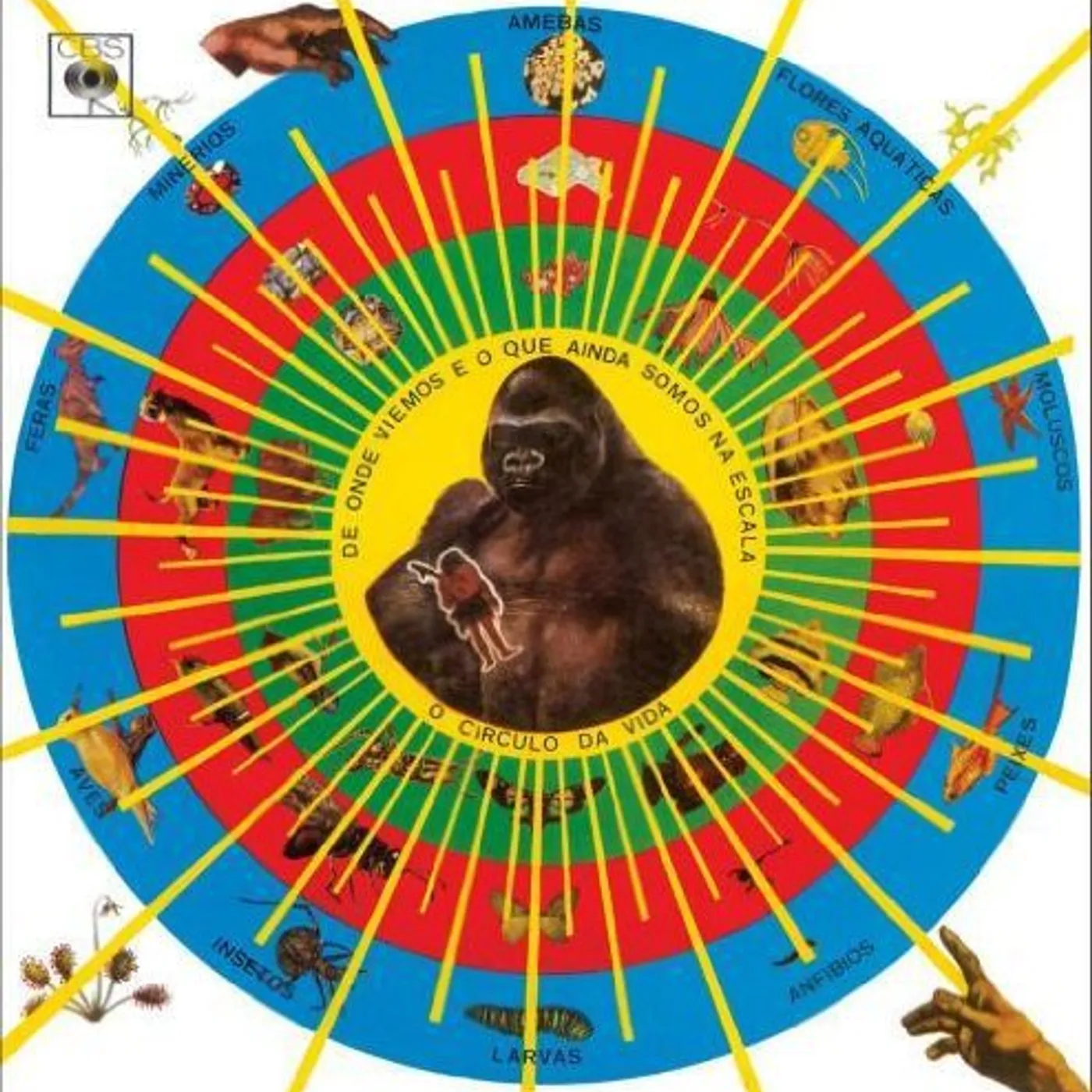 Pedro Santos KRISHNADA Vinyl Record