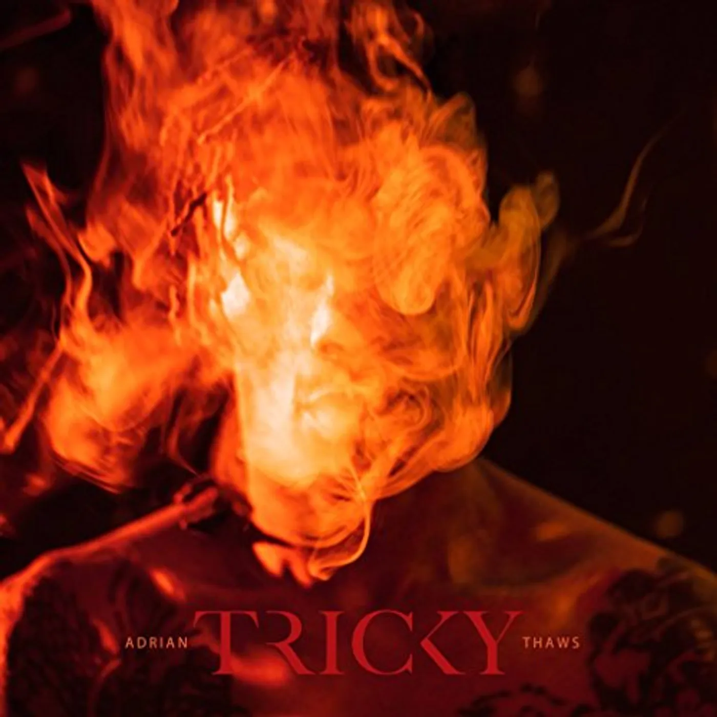 Tricky Adrian Thaws Vinyl Record