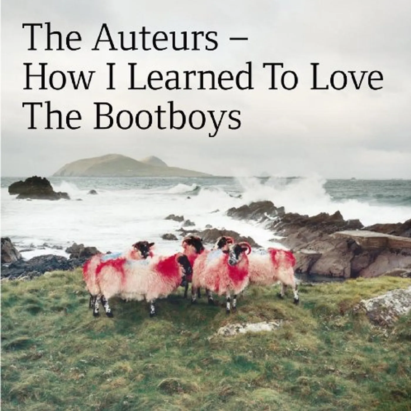 The Auteurs How I Learned To Love The Bootboys Vinyl Record