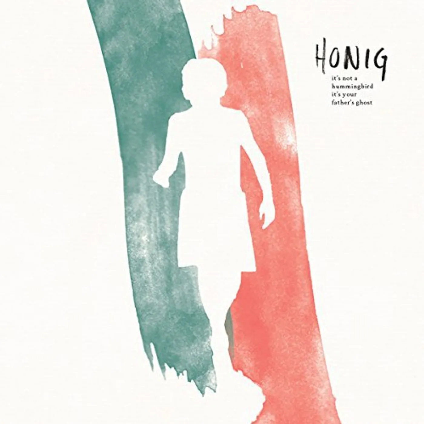Honig IT'S NOT A HUMMINGBIRD IT'S YOUR FATHER Vinyl Record