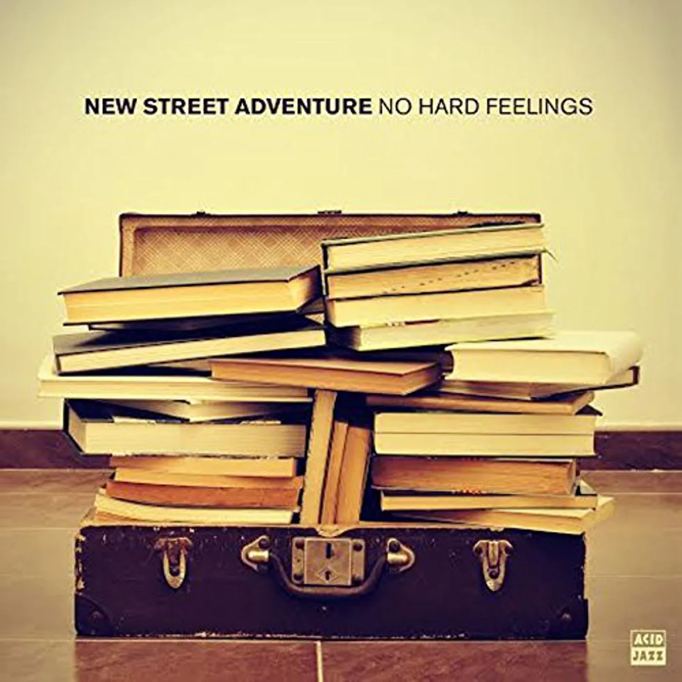 New Street Adventure No Hard Feelings Vinyl Record