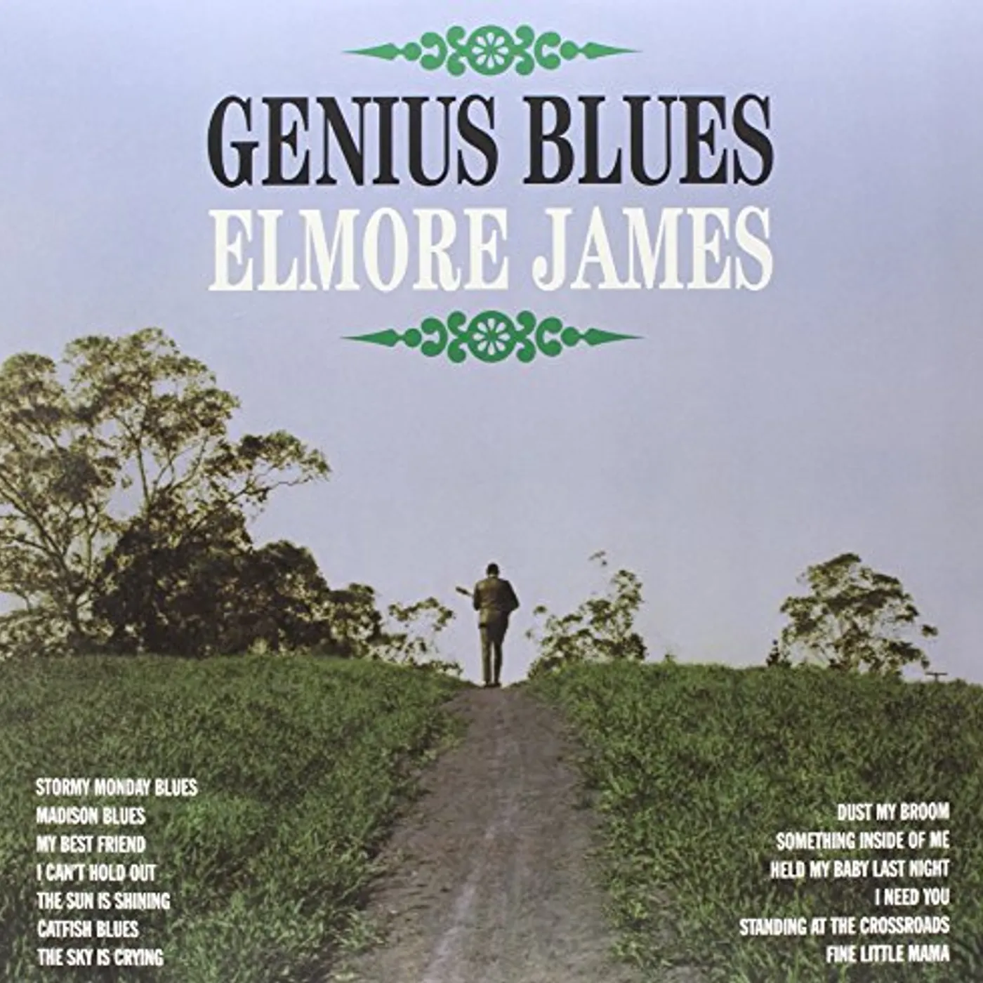 Elmore James Genius Blues Vinyl Record
