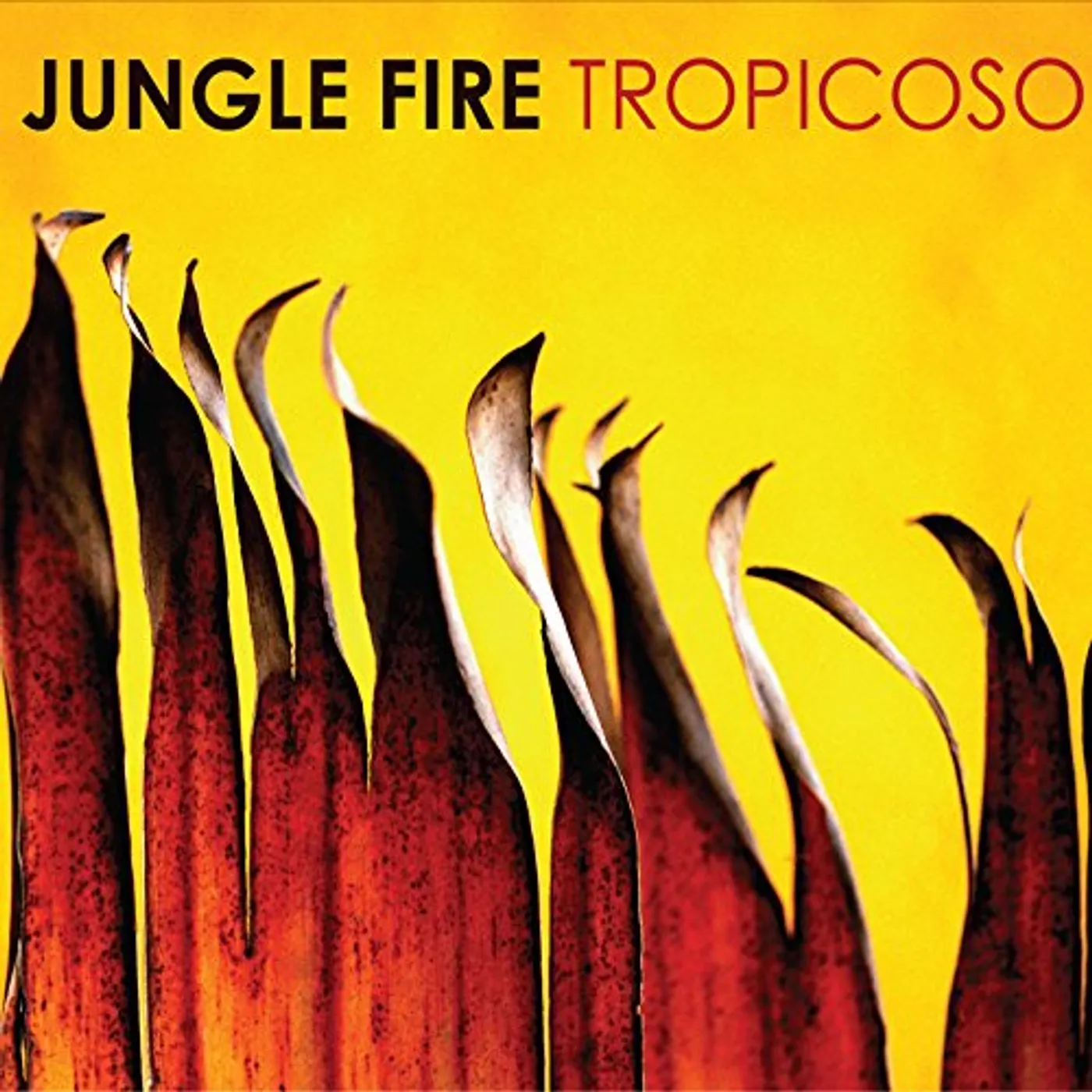 Jungle Fire Tropicoso Vinyl Record