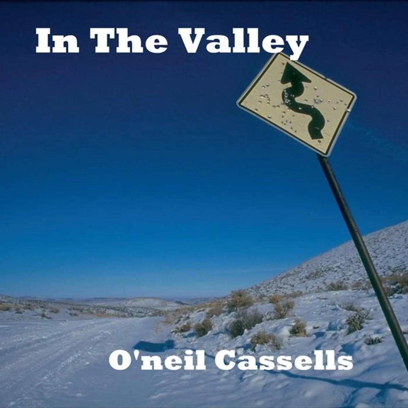 Oneil Cassells IN THE VALLEY CD