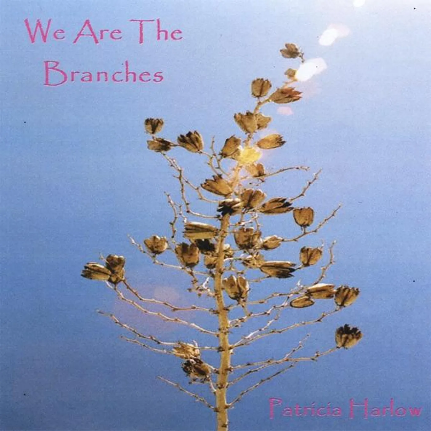 Patricia Harlow WE ARE THE BRANCHES CD