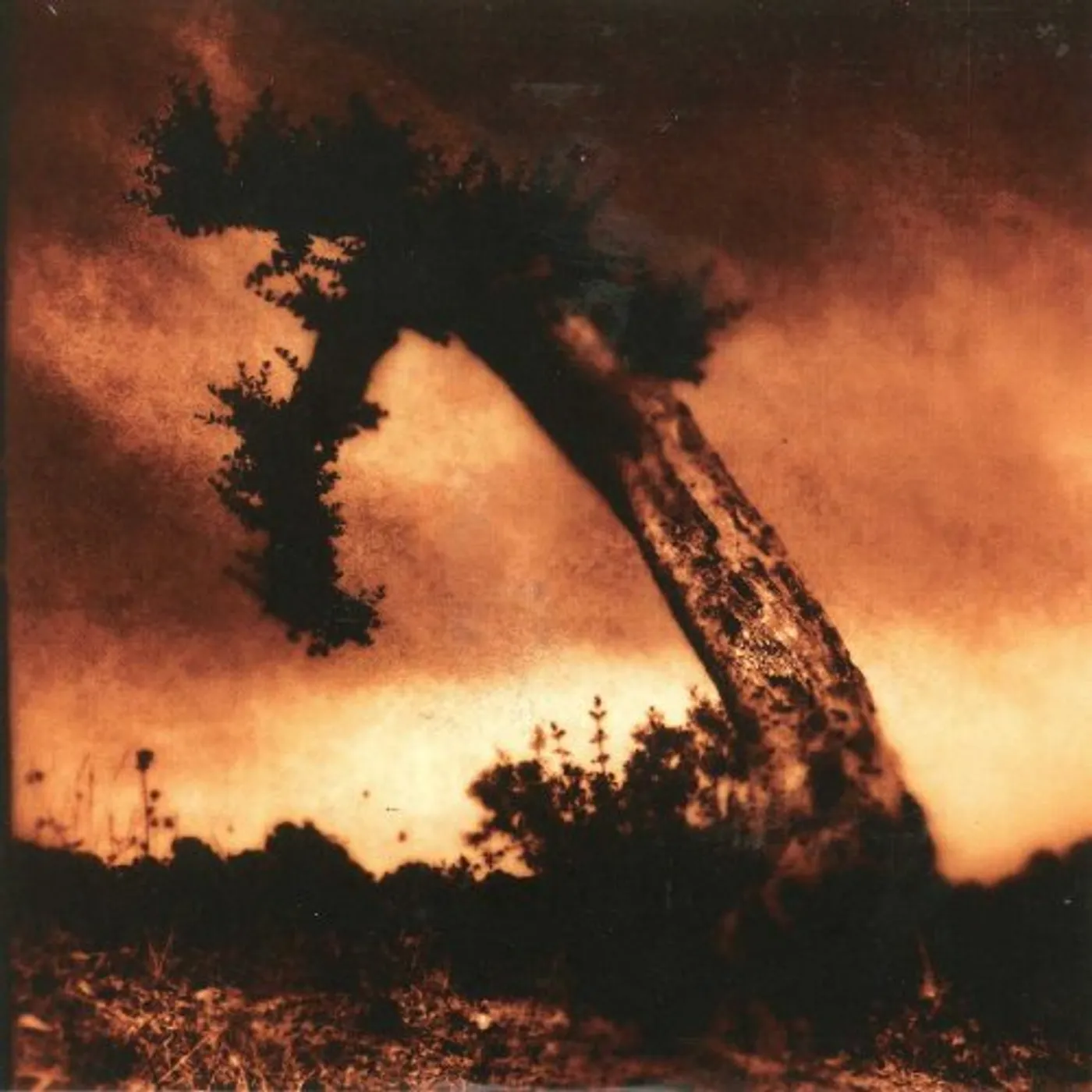 Tenebrous Liar JACKKNIFED & SLAUGHTERED (VINYL & CD COMBINED) Vinyl Record