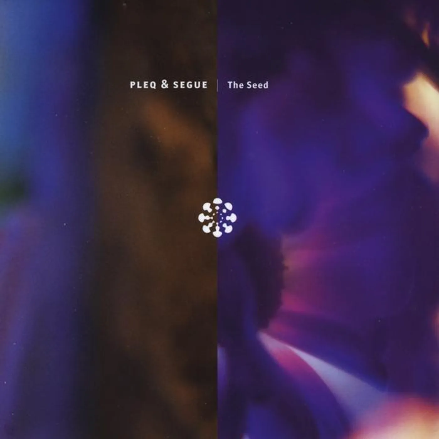 Pleq & Segue SEED CD