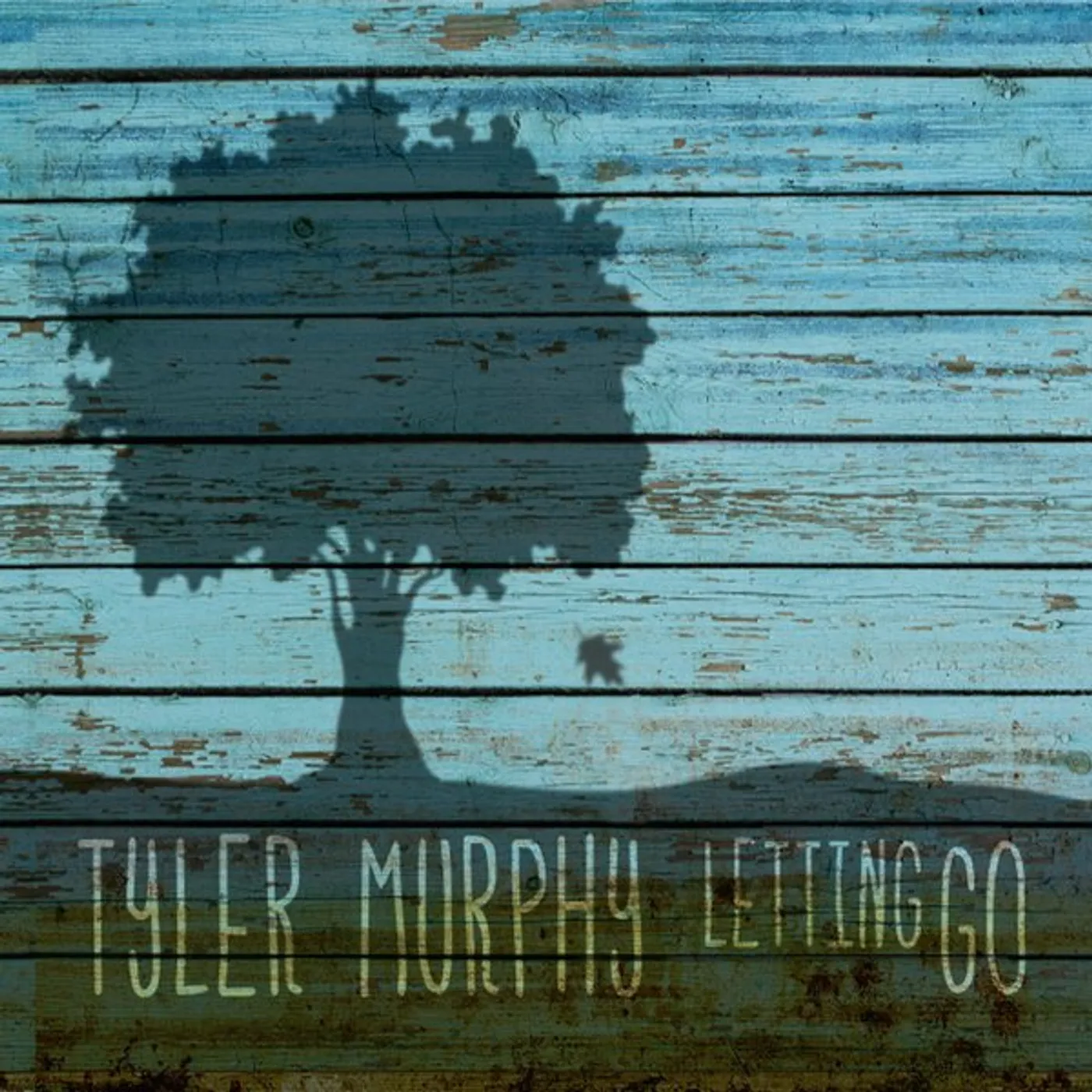 Tyler Murphy LETTING GO CD