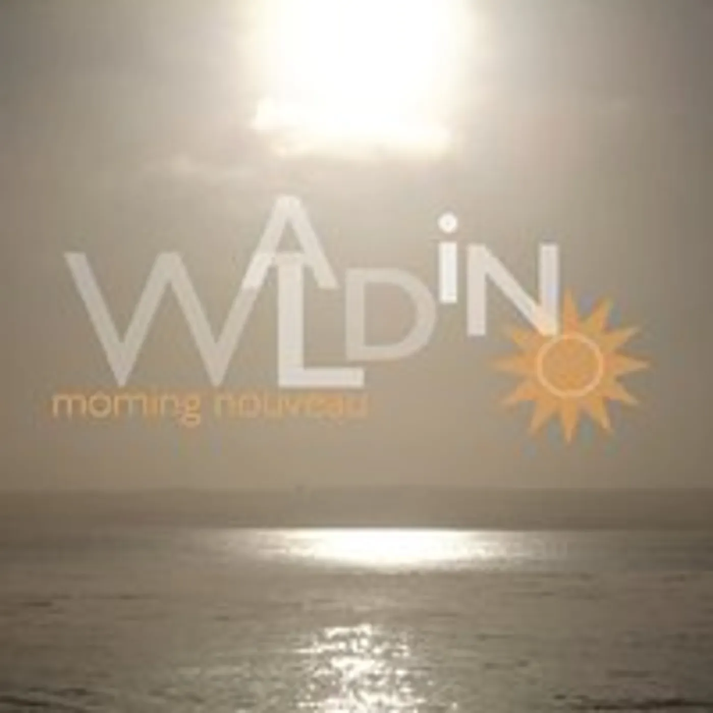 Waldino MORNING NOUVEAU CD