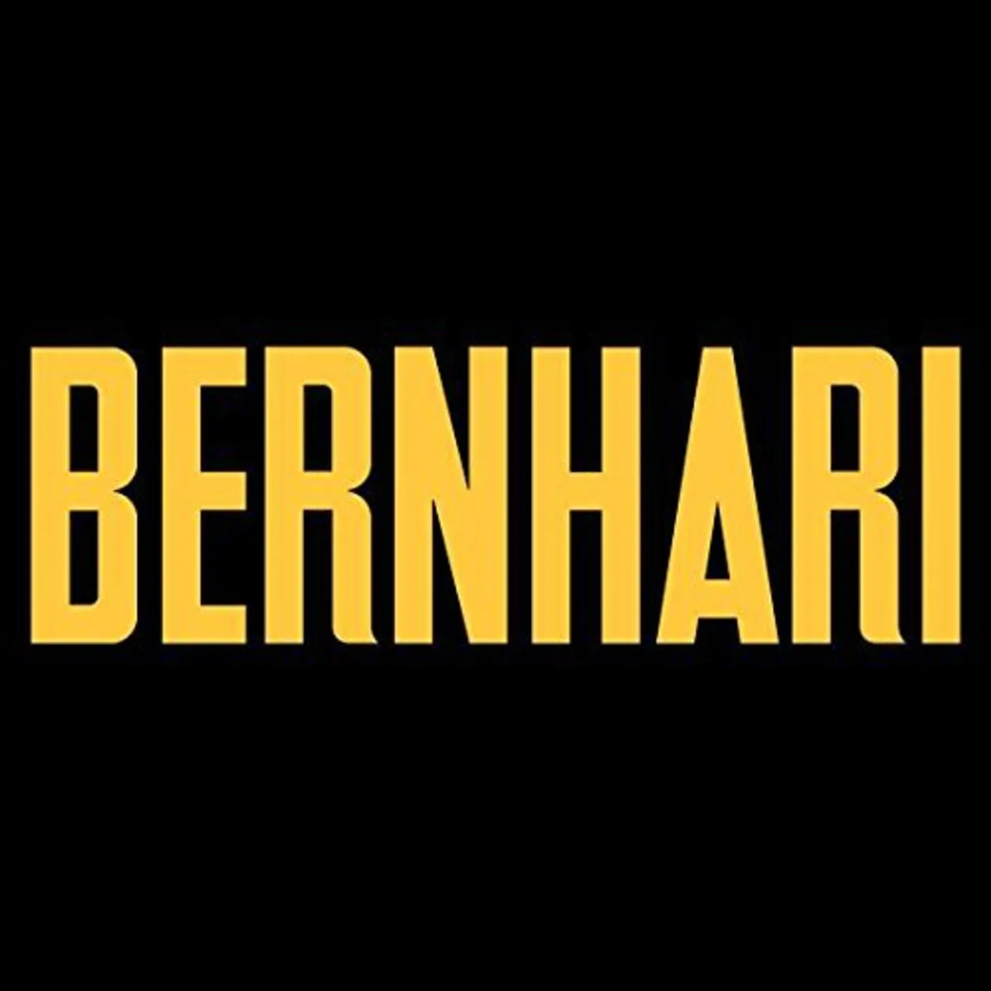 Bernhari Vinyl Record