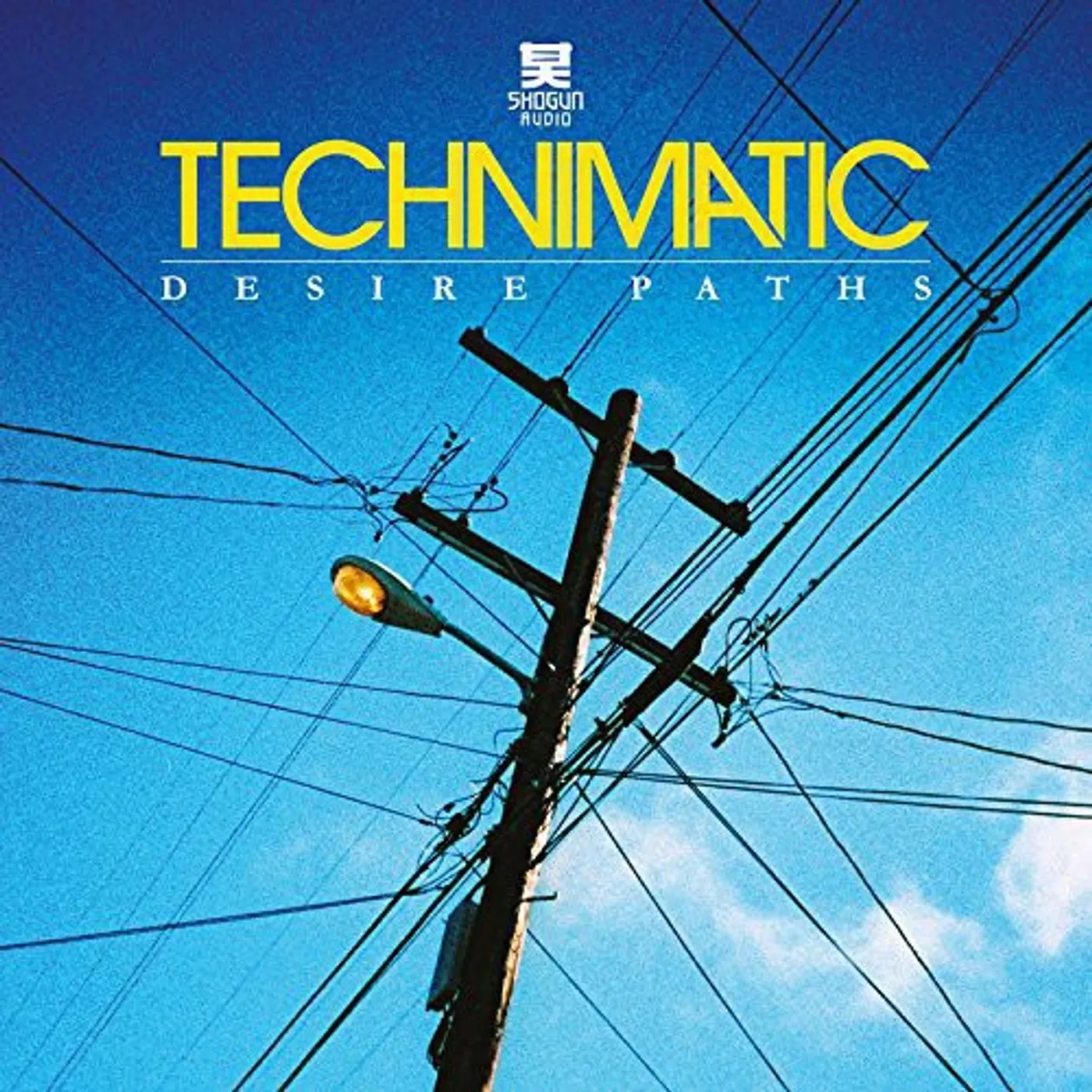 Technimatic Desire Paths Vinyl Record
