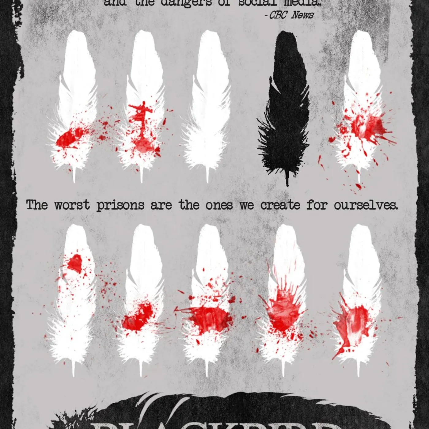 BLACKBIRD DVD