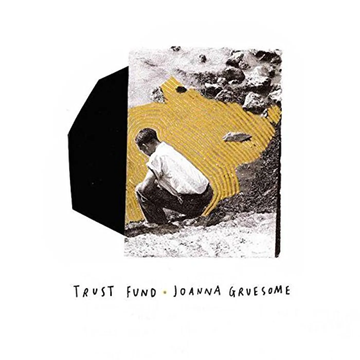 Joanna Gruesome / Trust Fund SPLIT RELEASE Vinyl Record