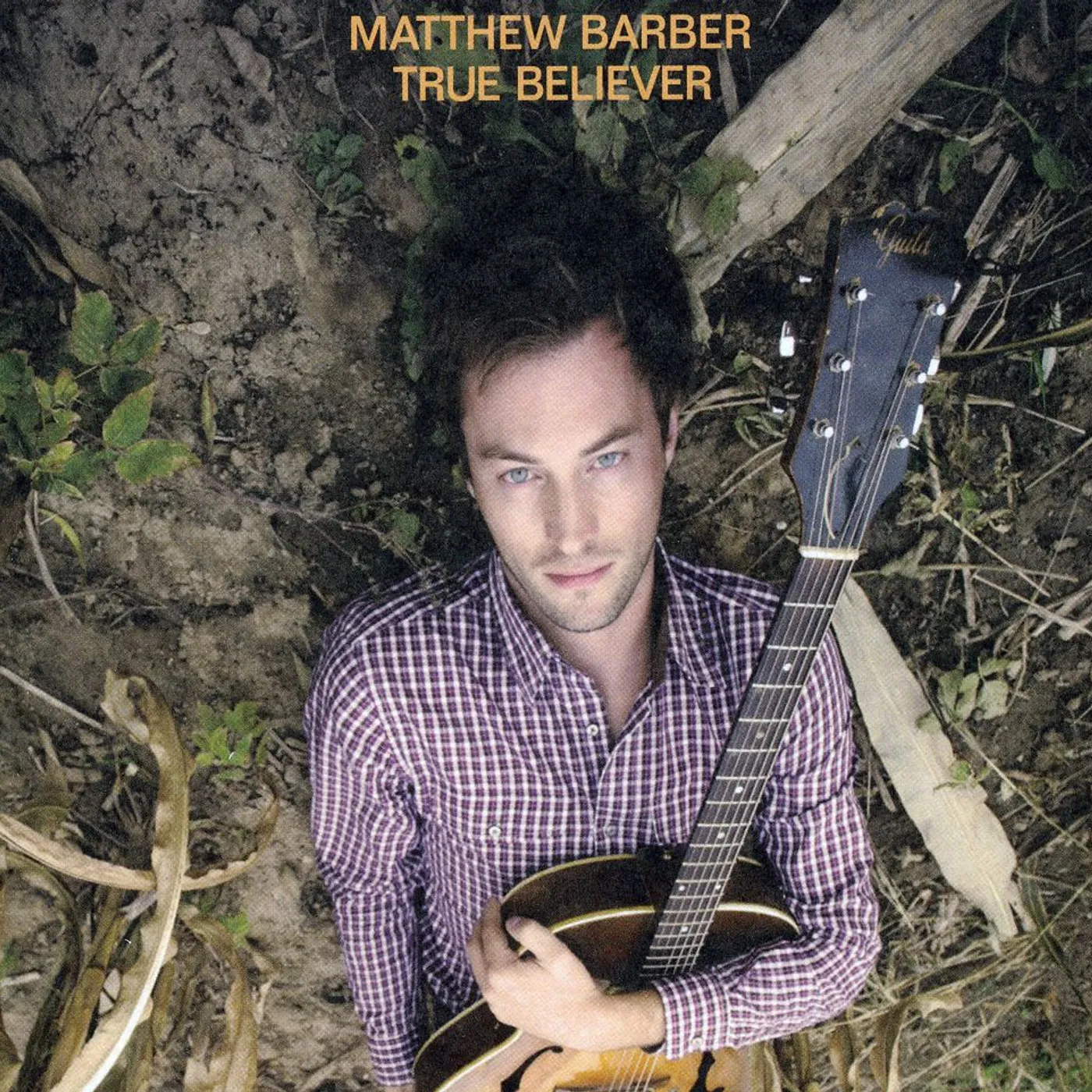洋楽 matthew barber jill barber LP Matthew Barber & Jill Barber FAMILY ALBUM CD