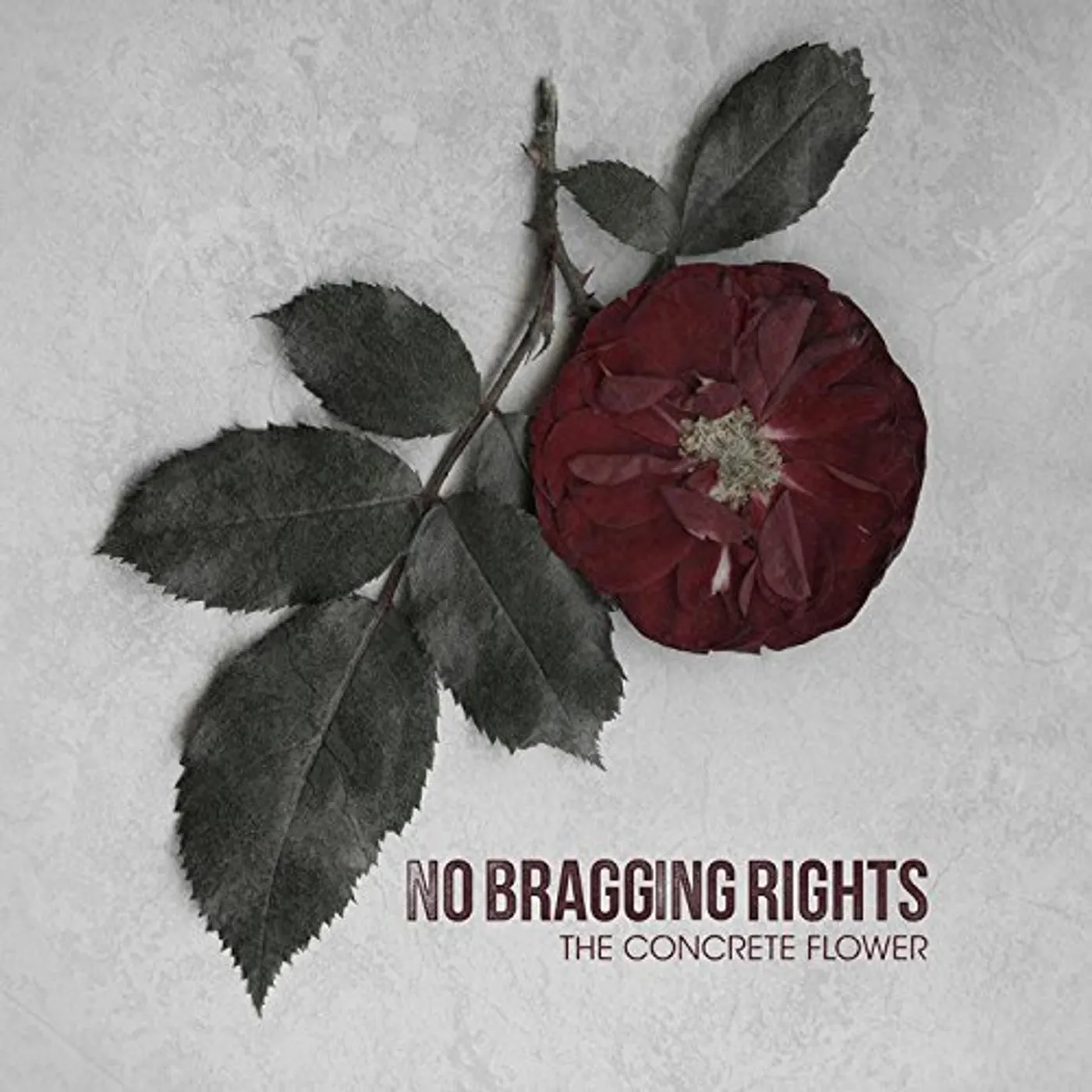 No Bragging Rights CONCRETE FLOWER Vinyl Record