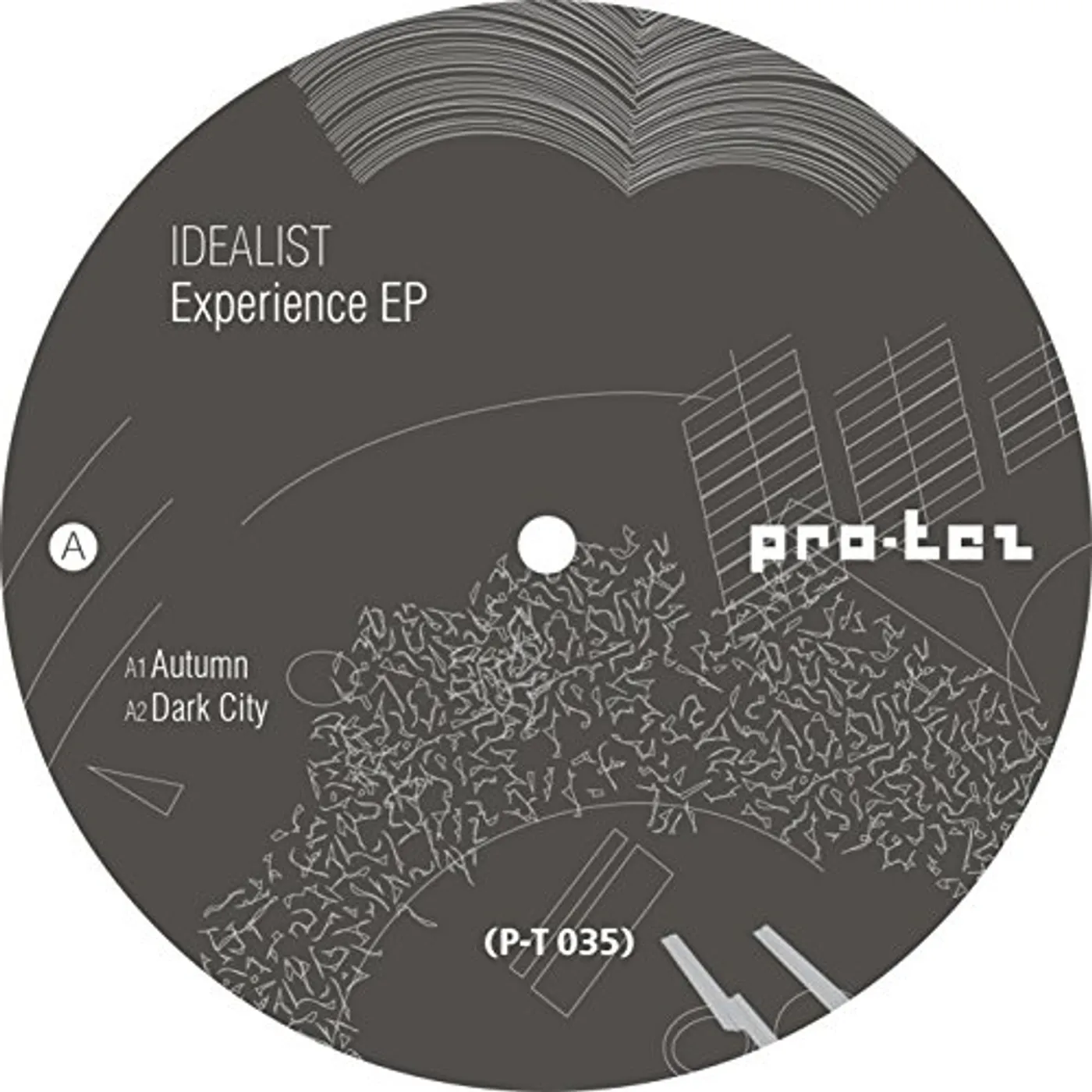 Idealist EXPERIENCE Vinyl Record