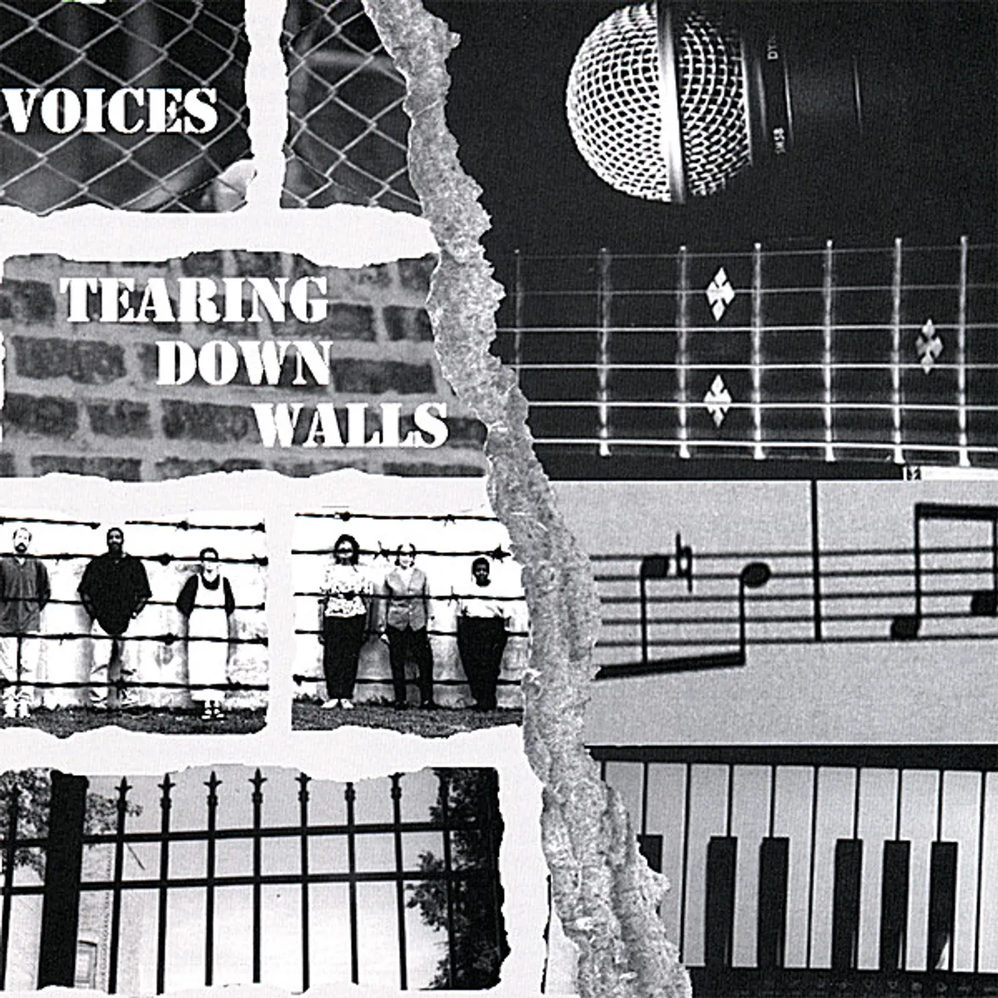 The Voices TEARING DOWN WALLS CD