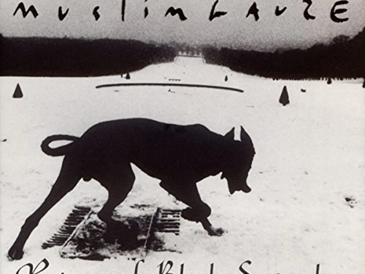 Muslimgauze – Box Of Silk And Dogs – Box Set (Album, Limited