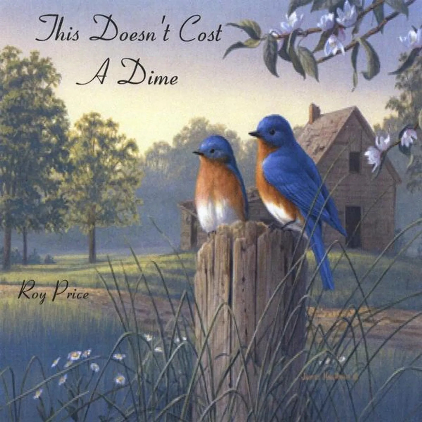 Roy Price THIS DOESN'T COST A DIME CD