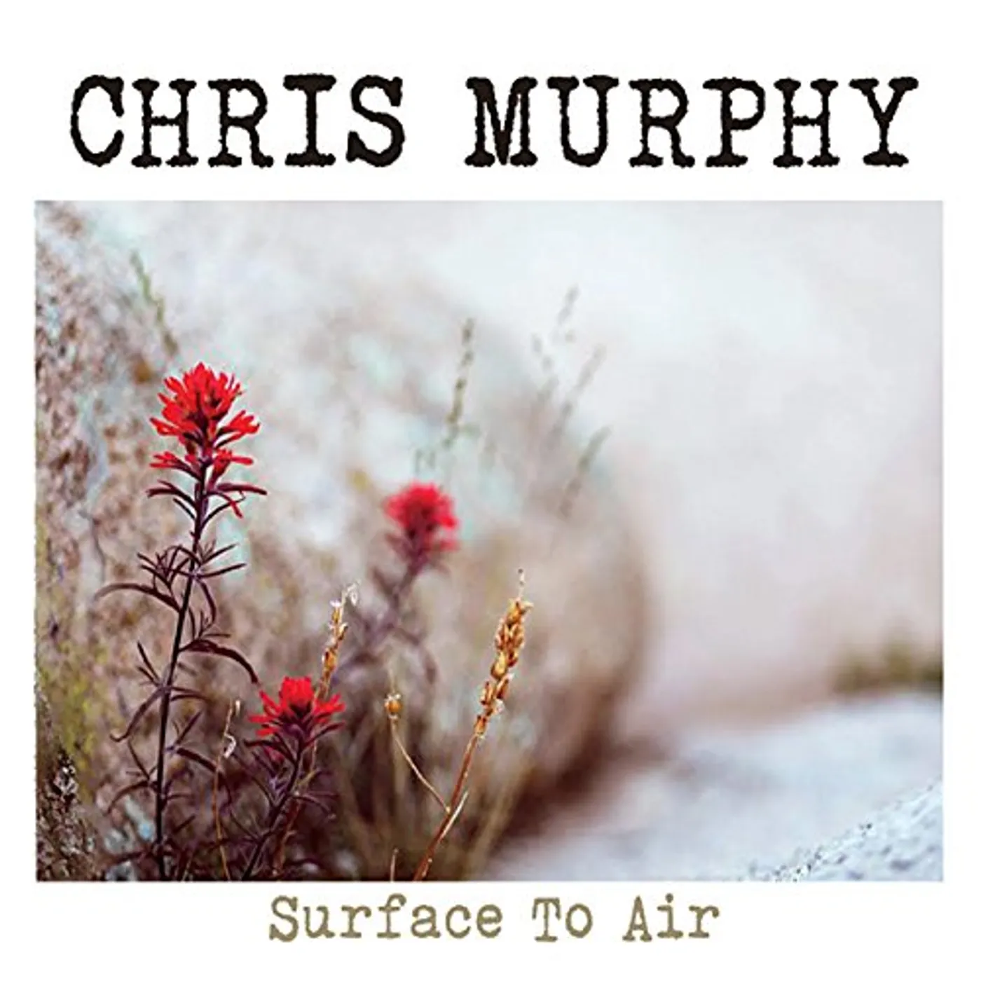 Chris Murphy SURFACE TO AIR CD