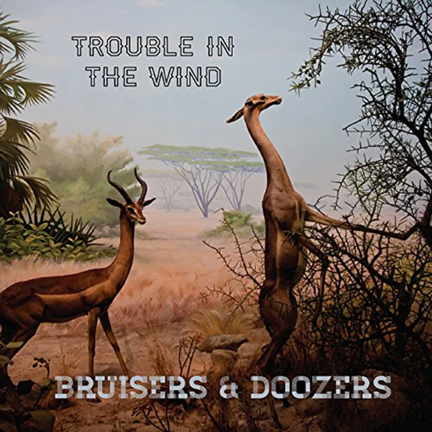Trouble in the Wind BRUISERS & DOOZERS CD