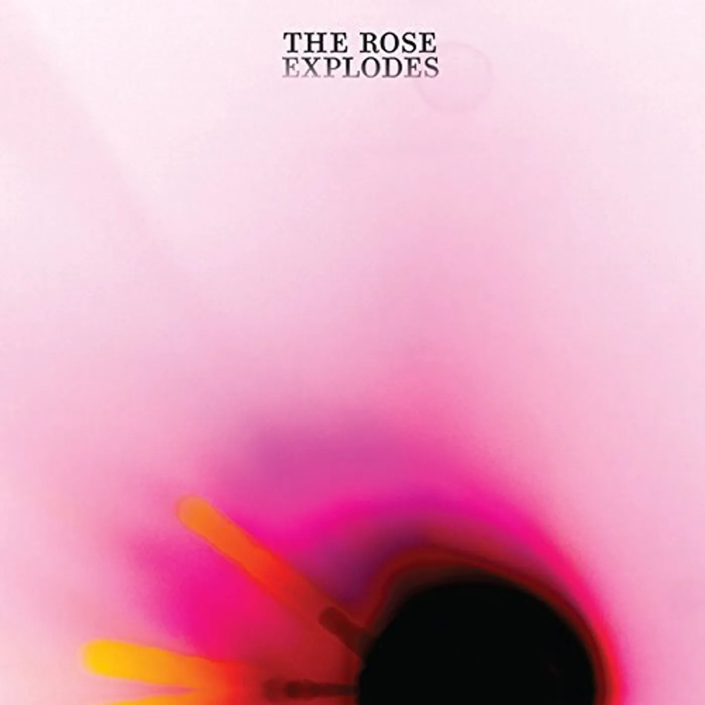 Dream Boat ROSE EXPLODES Vinyl Record