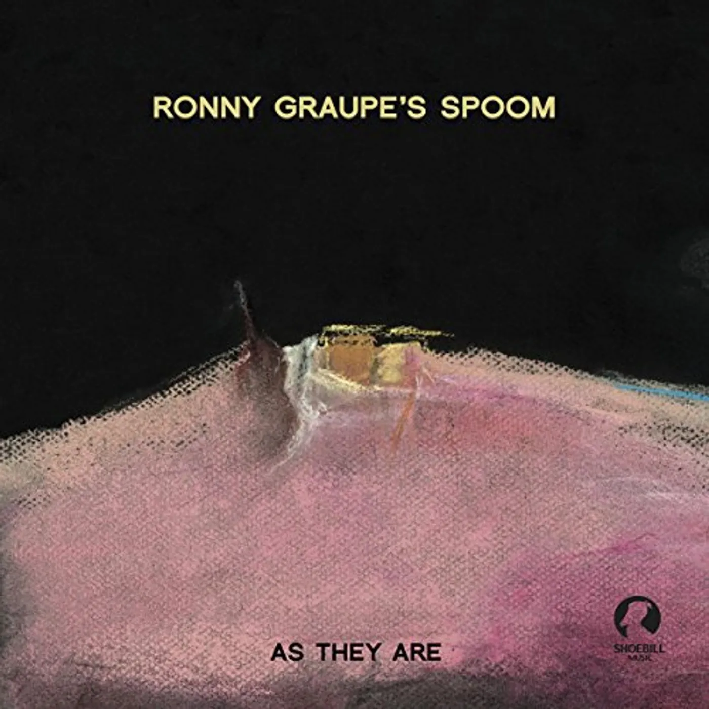 Ronny Graupe AS THEY ARE Vinyl Record