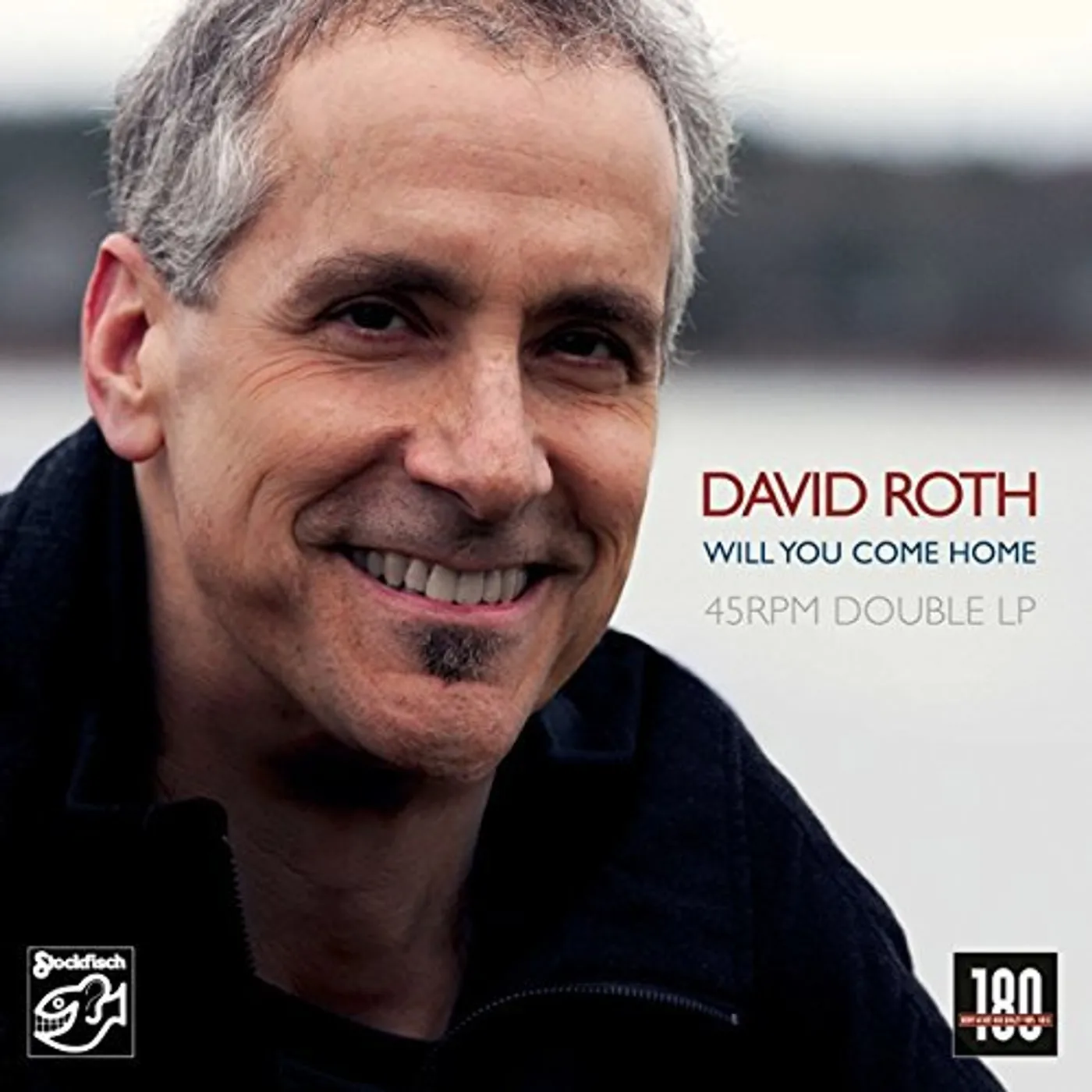 David Roth Will You Come Home Vinyl Record