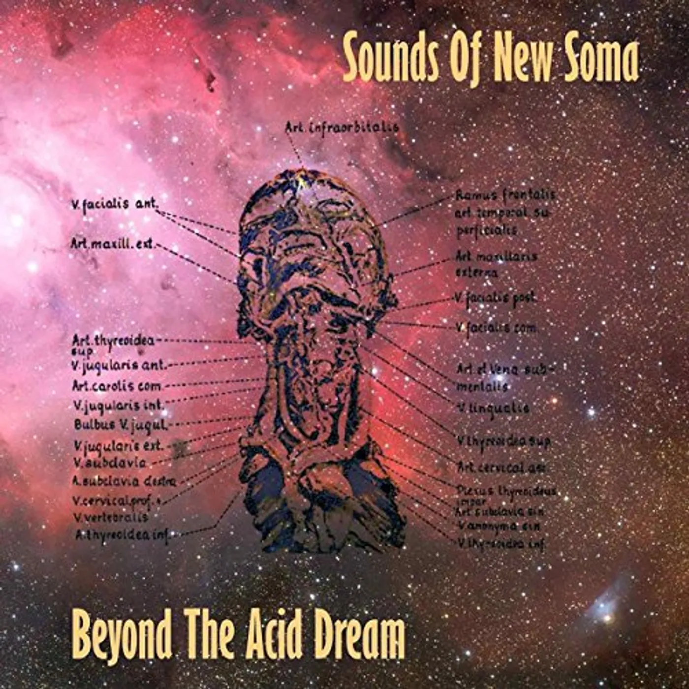 Sounds Of New Soma BEYOND THE ACID DREAM Vinyl Record