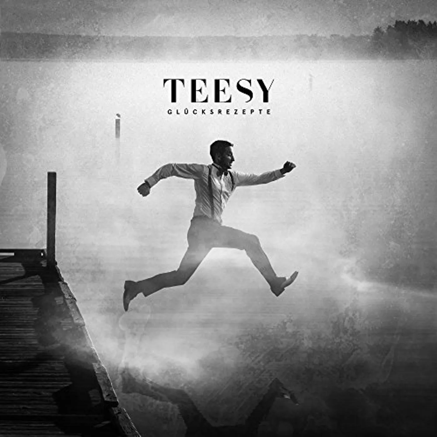 Teesy GLUECKSREZEPTE Vinyl Record