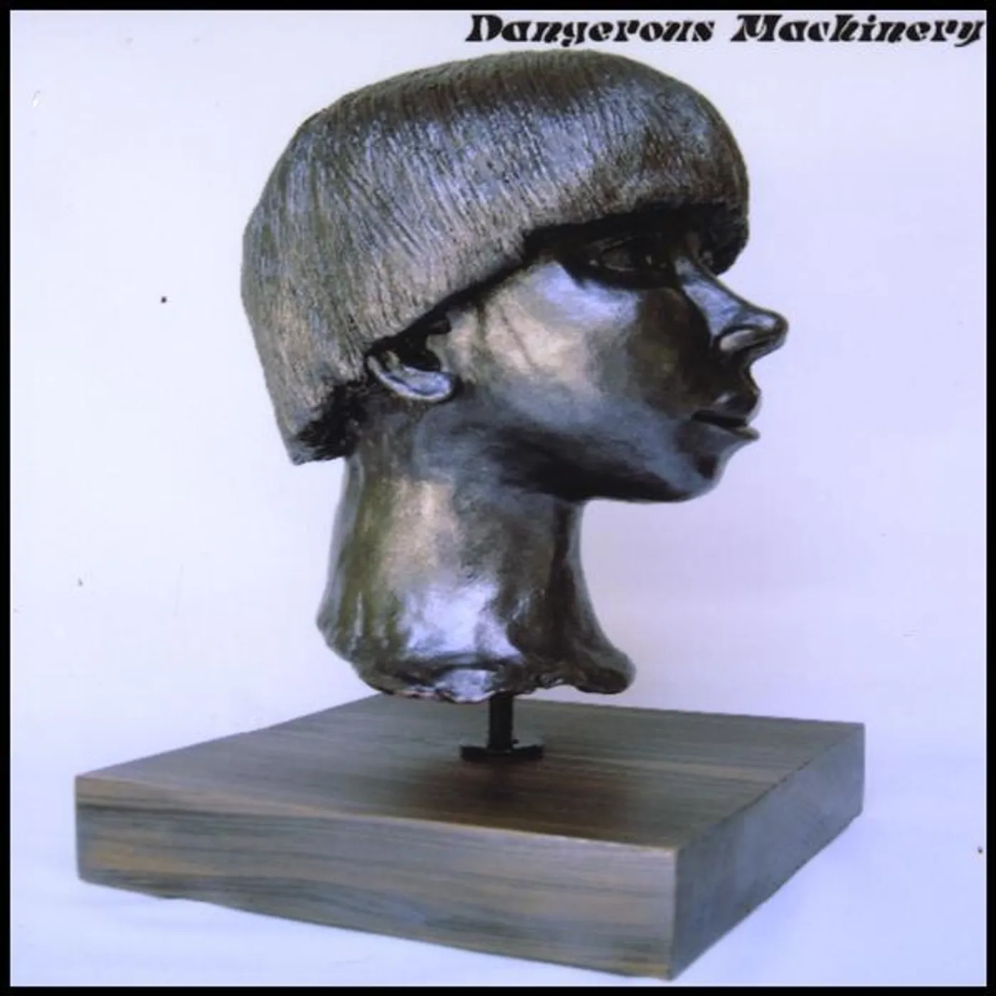 Dangerous Machinery PERVERTED ROBOTS CD