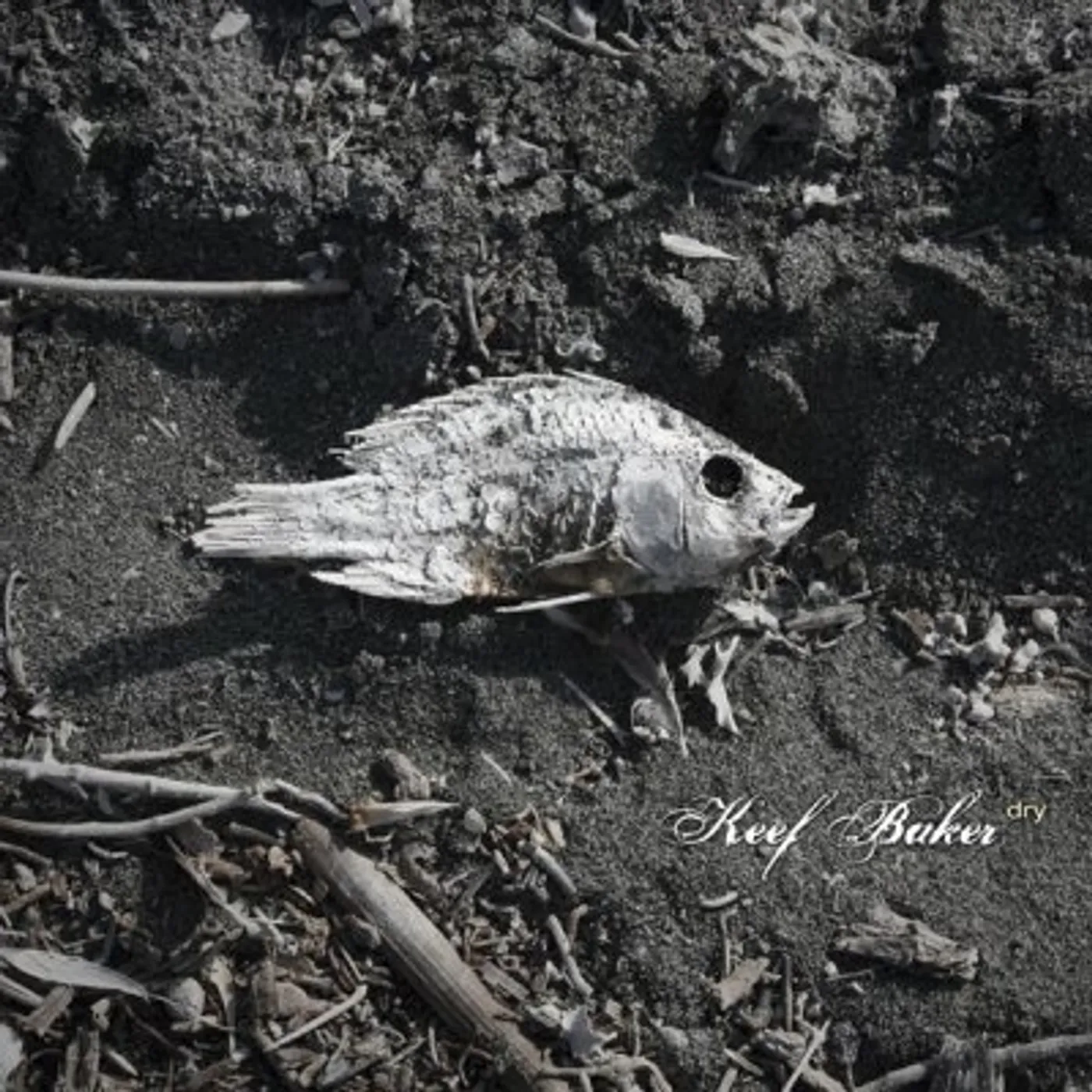 Keef Baker DRY CD