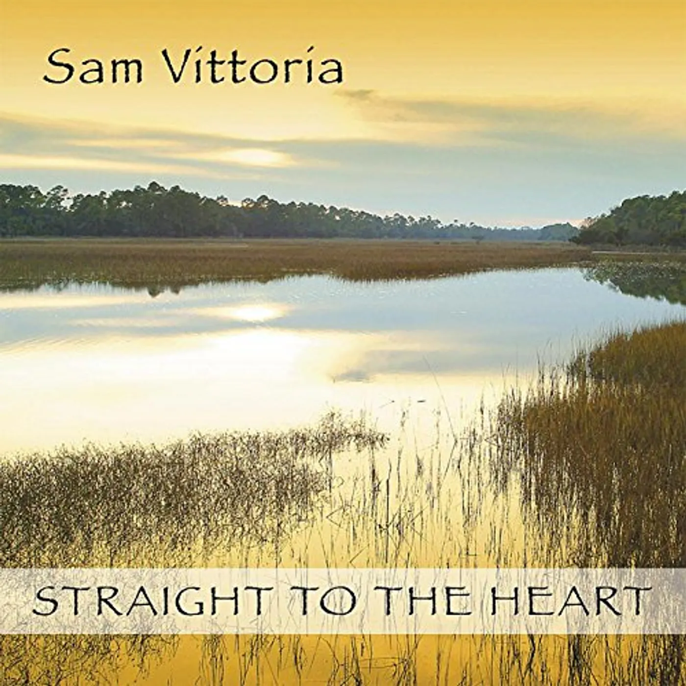 Sam Vittoria STRAIGHT TO THE HEART CD