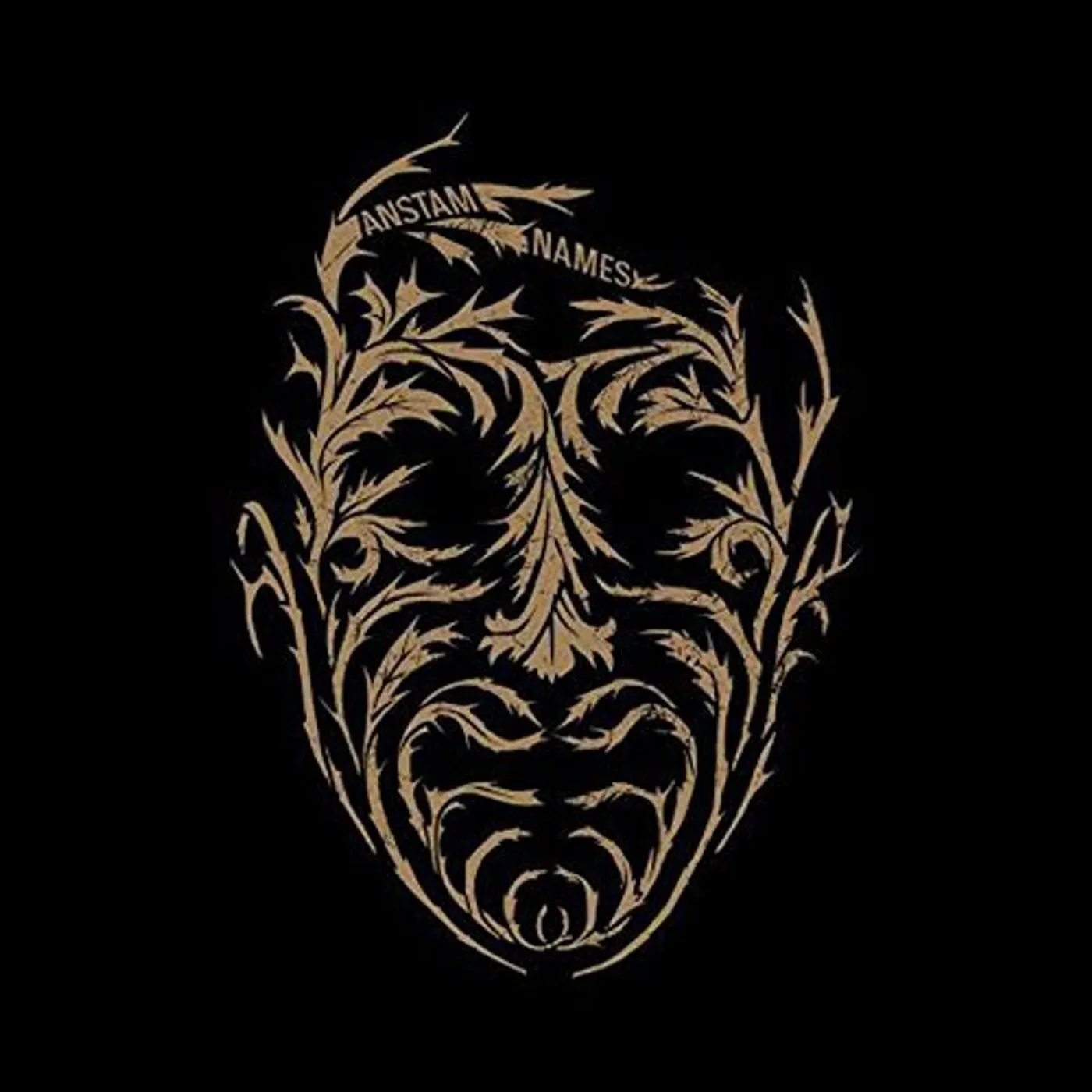 Anstam Names Vinyl Record